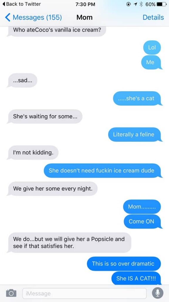 Mom's texts to her daughter go viral and show that the family cat 2