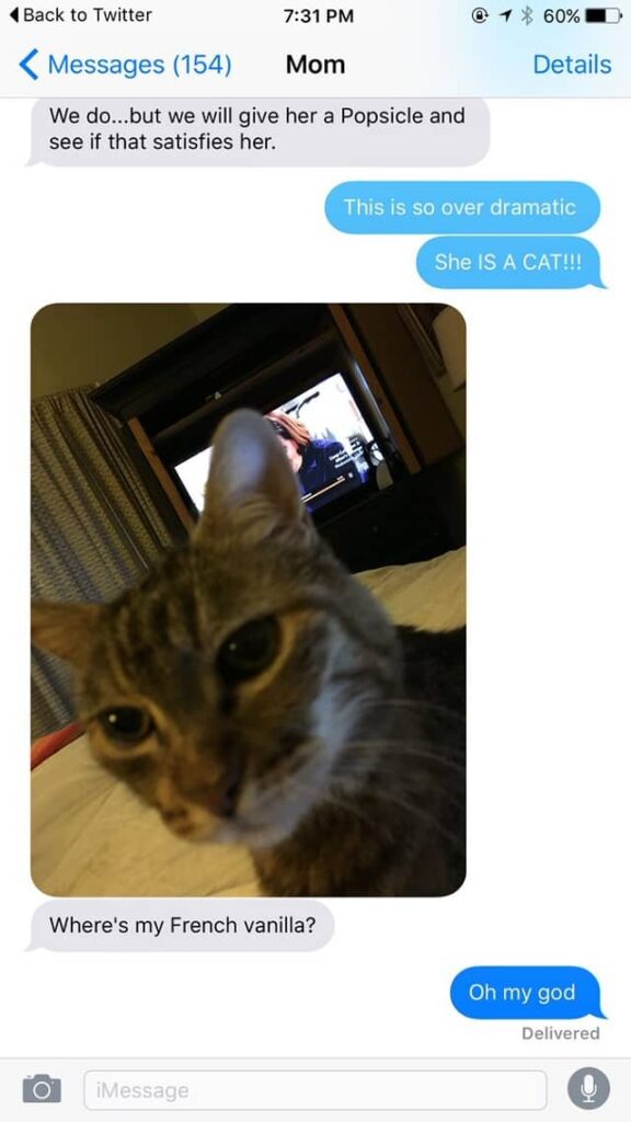 Mom's texts to her daughter go viral and show that the family cat 3