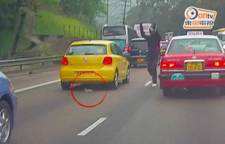 On a busy highway a man stops traffic to save a tiny kitten 1
