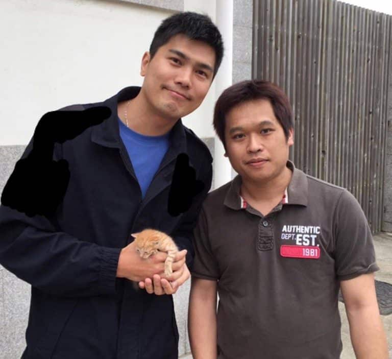 On a busy highway a man stops traffic to save a tiny kitten 6