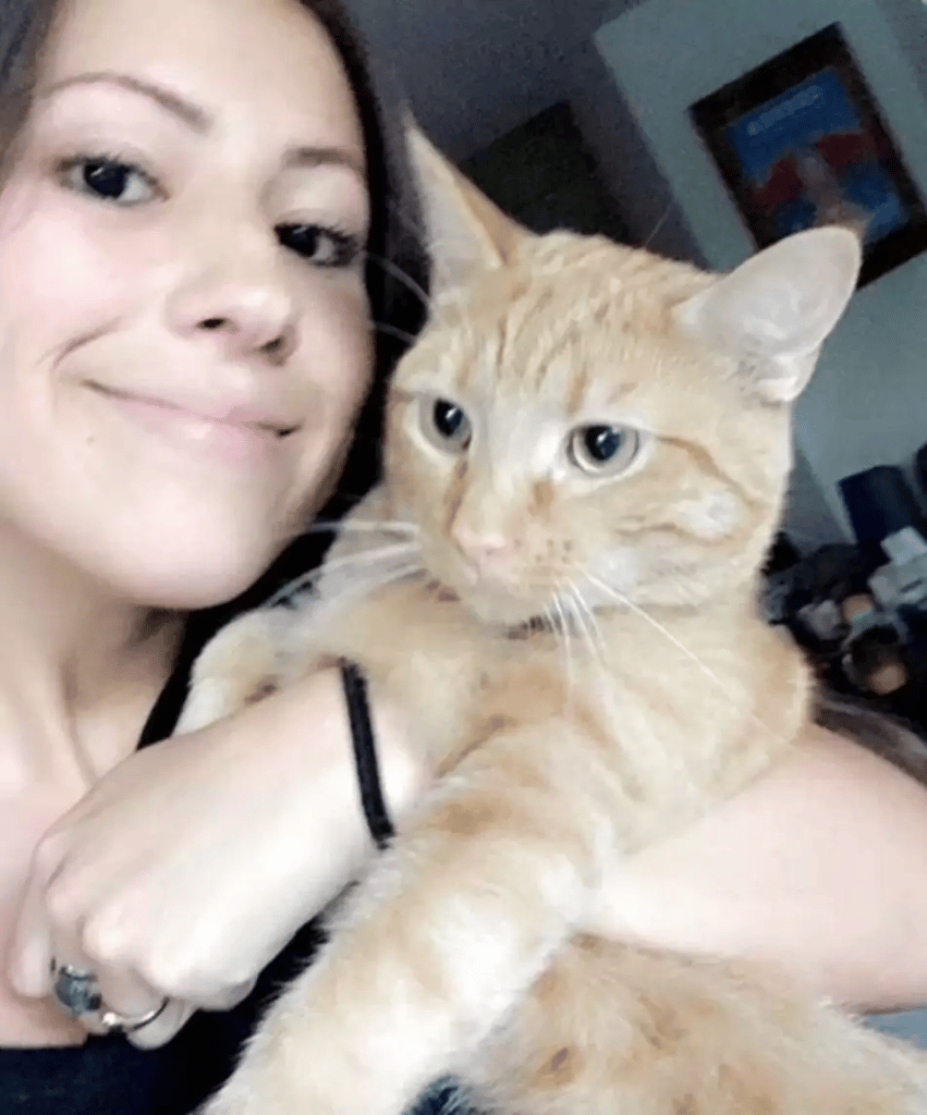 Sneaky Fridge-Raiding Cat is unaware that his family is watching on him 5