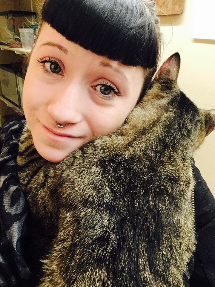 Snuggly Tabby Refuses To Let Go After Woman Hugs Cat In Pet Store 1