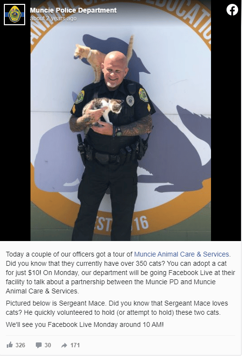 This police station does something wonderful for cats 2