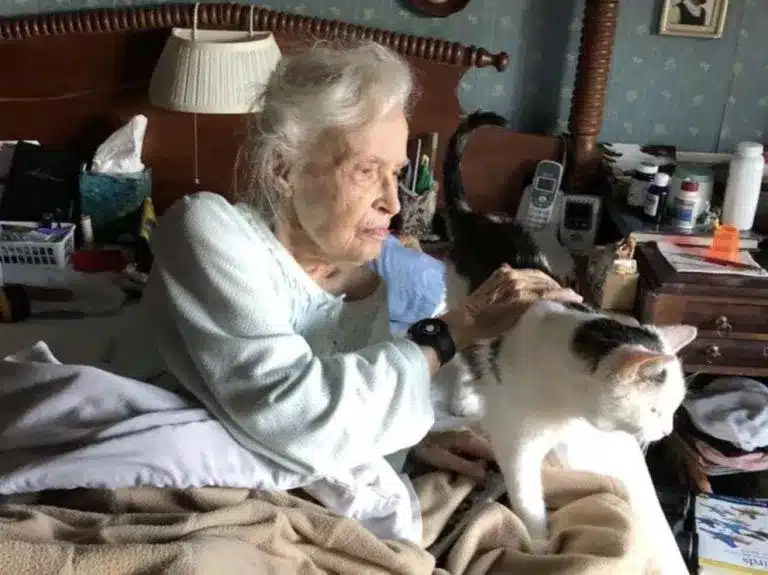 When a 101-year-old woman adopts the oldest cat in the shelter it's a match made in heaven 4