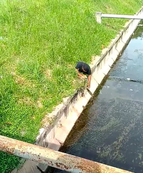 When a kitten gets stuck in a drain a disabled man risks his life by getting out of his wheelchair to rescue it 2