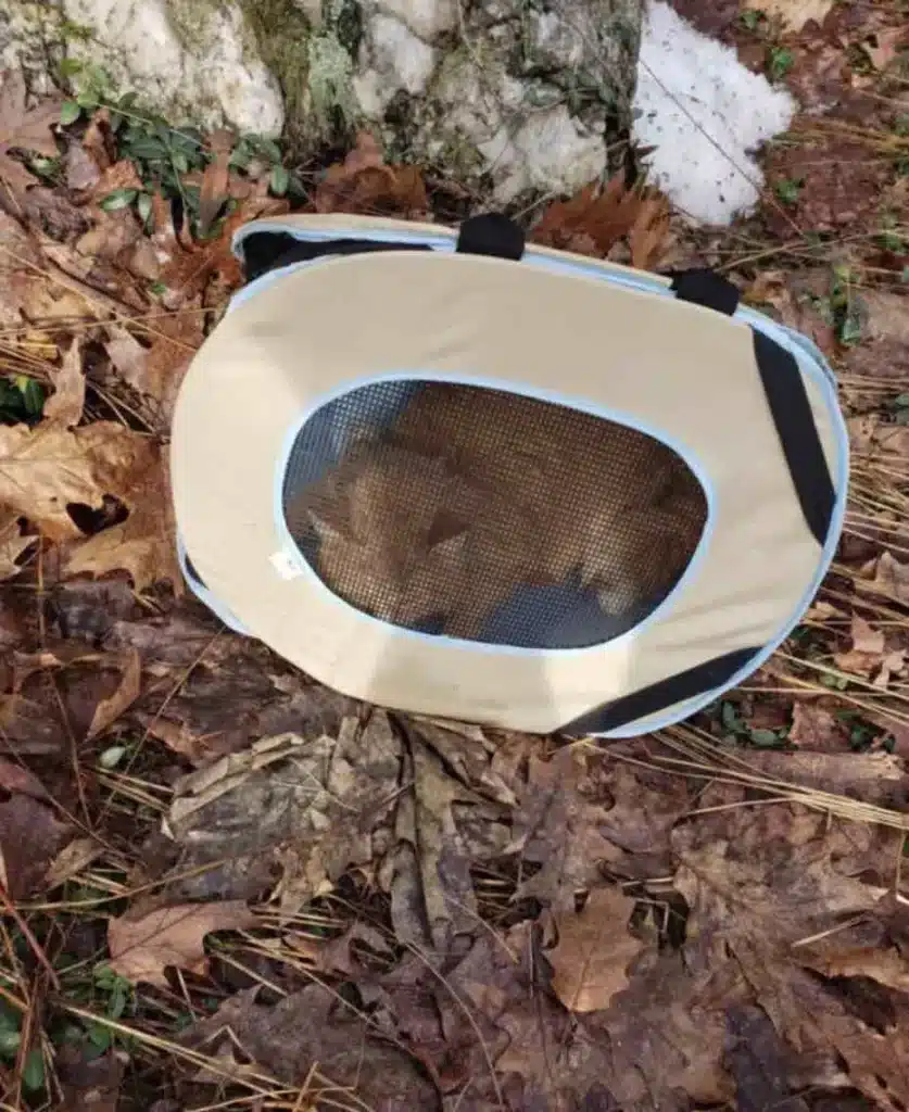 A cat trapped in a pet carrier was found abandoned in a ditch 2