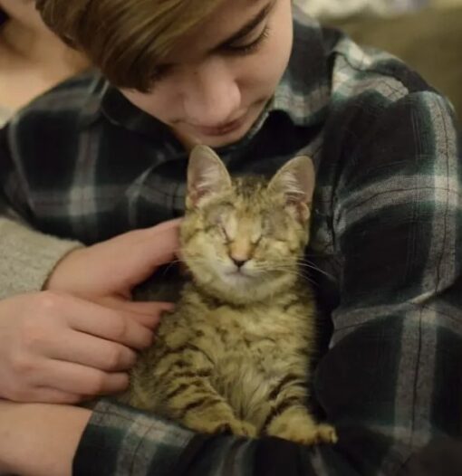 A family of adopted children takes in a blind kitty that was dumped in the trash 3