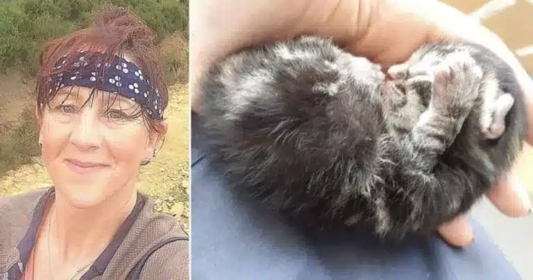 A woman jogger saves a tiny newborn kitten who falls from the sky 4