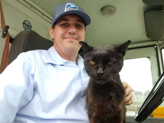 An Elderly Cat Actually likes Her Mailman