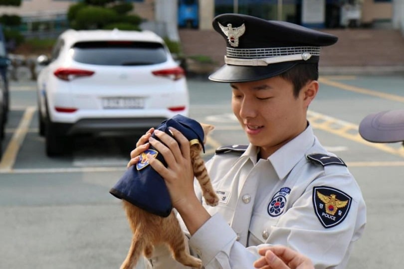 Due to her pregnancy a stray cat chose to remain in the police station surprising the officers with the prettiest new member of the force 5