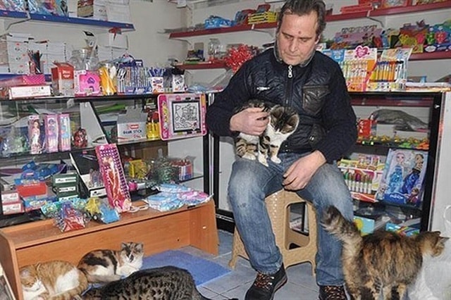 During a snowstorm, a man opens his store to shelter stray cats!