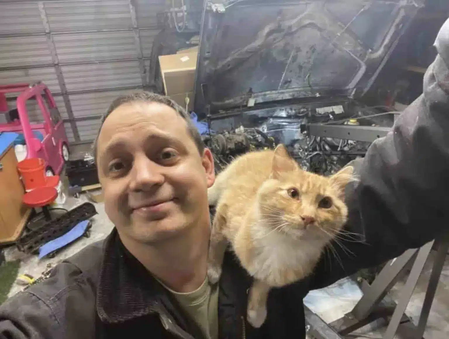 Man Finds a Cat in His Garage, but He does not own it