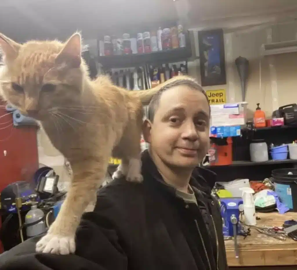 Man Finds a Cat in His Garage but He does not own it 5
