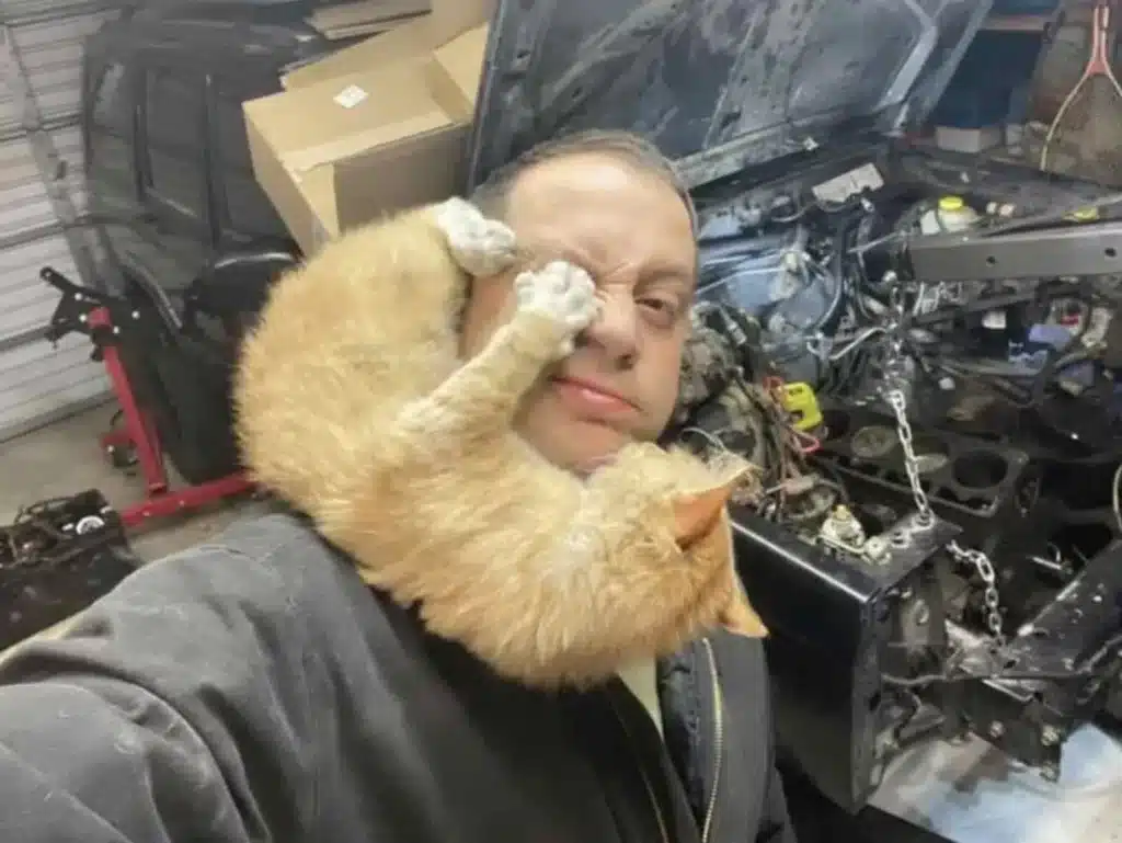 Man Finds a Cat in His Garage but He does not own it 6