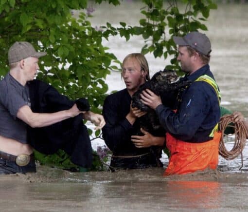 Momo the cat saved his father's life by swimming to safety 3