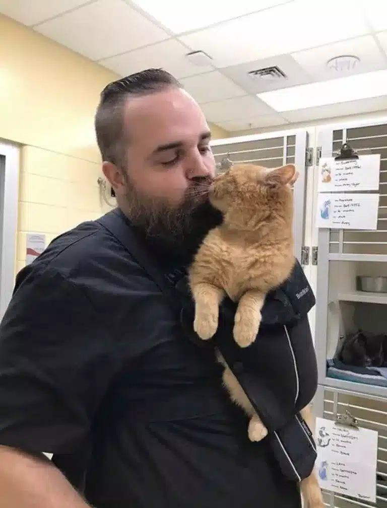 Shelter Finds the Best Solution for a 15-Year-Old Cat Who Just Wants to Be Held 3