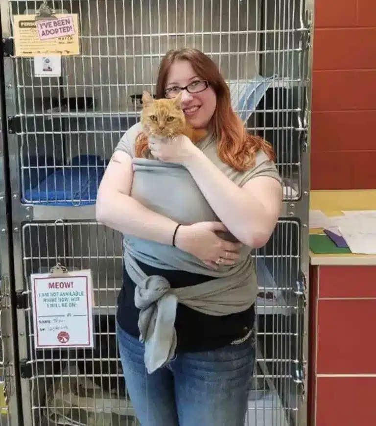 Shelter Finds the Best Solution for a 15-Year-Old Cat Who Just Wants to Be Held 4