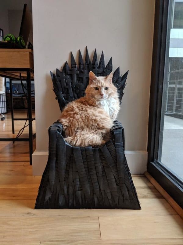 The cat's owner built an iron throne for her cat out of cardboard much like in Game of Thrones 2