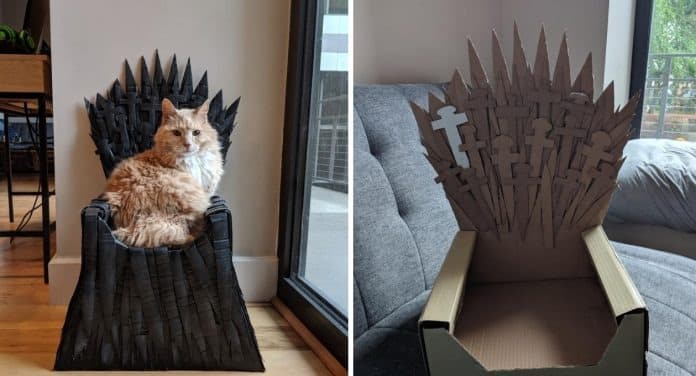 The cat’s owner built an iron throne for her cat out of “cardboard,” much like in “Game of Thrones.”