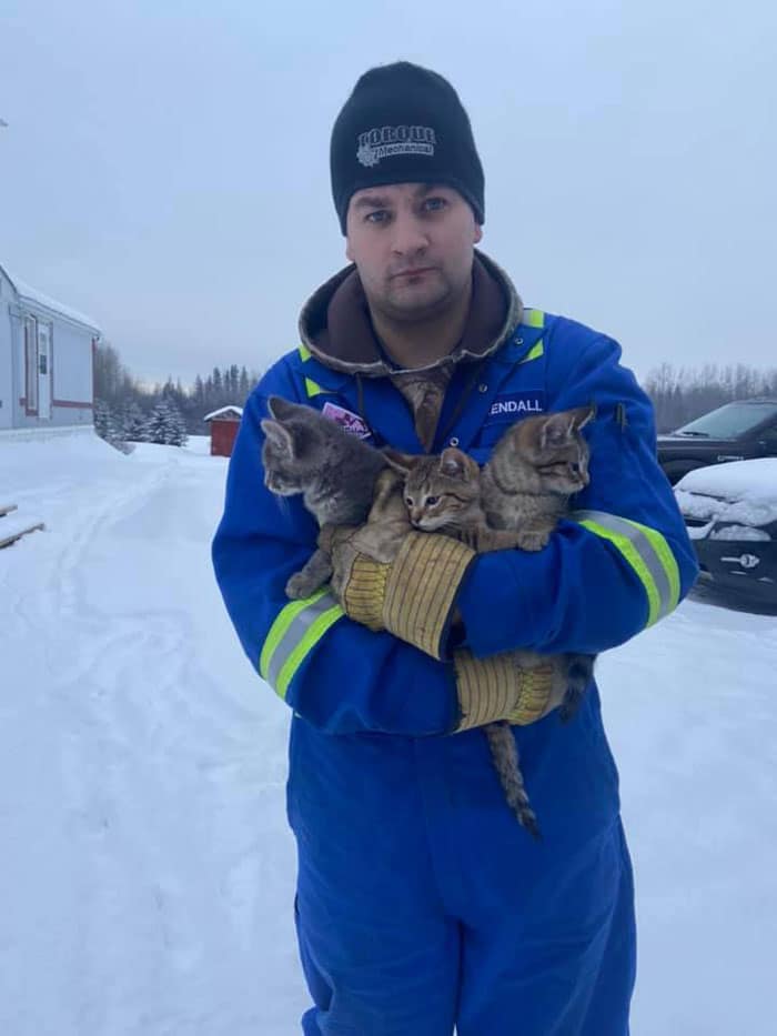 Three kittens that had been frozen to the ground for hours were saved by this man using his hot coffee 1