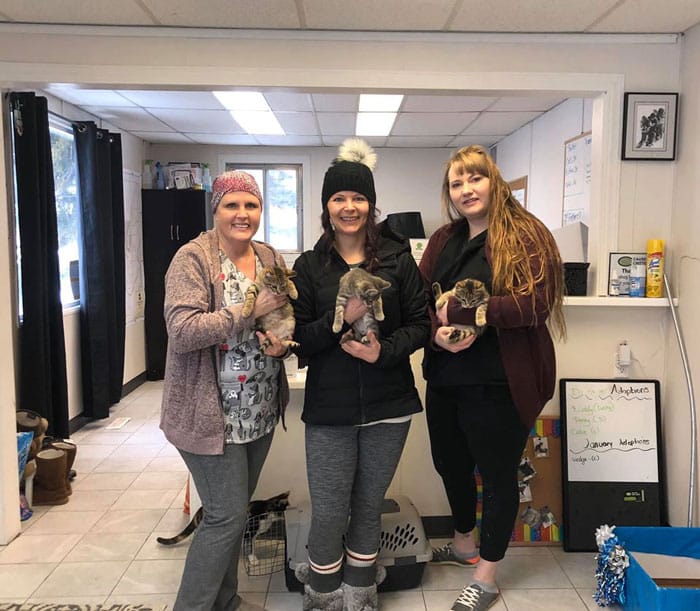 Three kittens that had been frozen to the ground for hours were saved by this man using his hot coffee 6