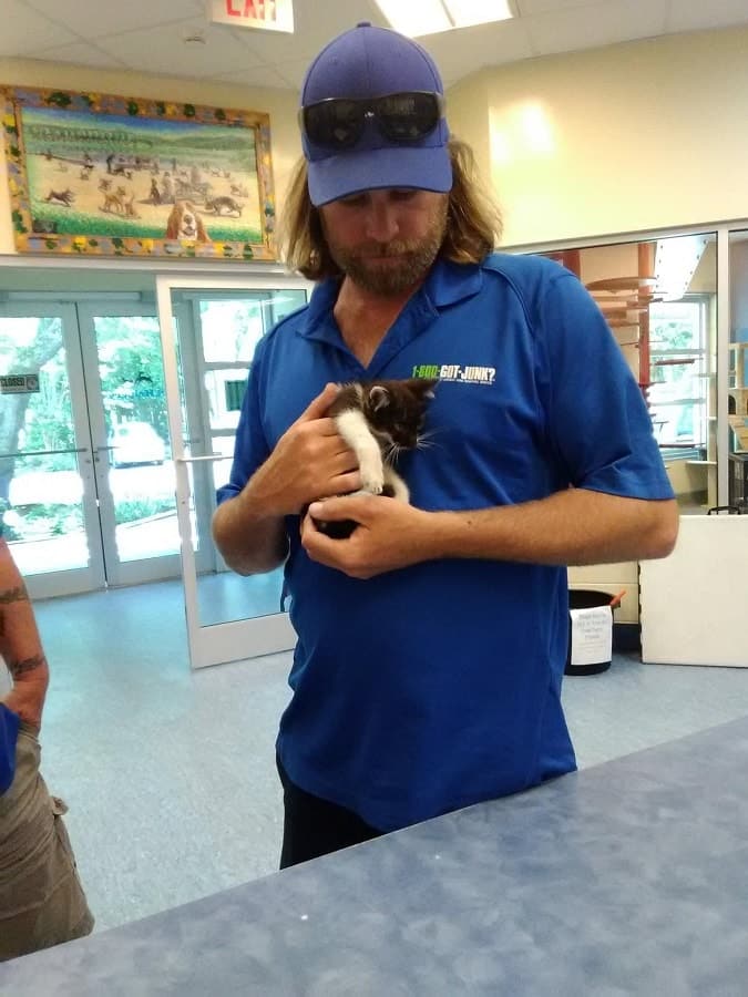 Two kittens abandoned on a bridge and left to drown are saved by a man 4