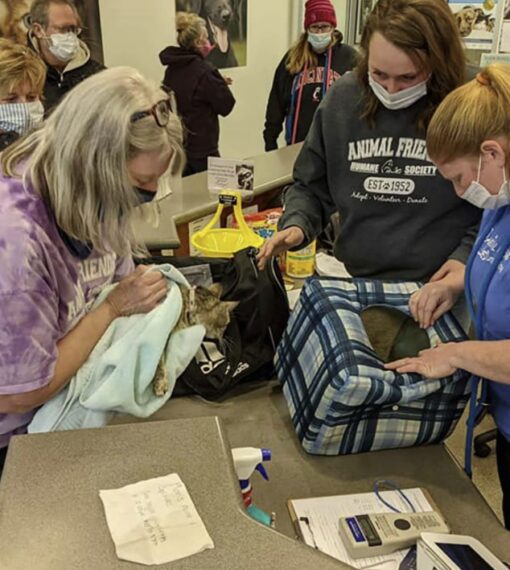 When the bomb squad arrived to investigate a suspicious bag they were shocked to hear meows from the bag 2