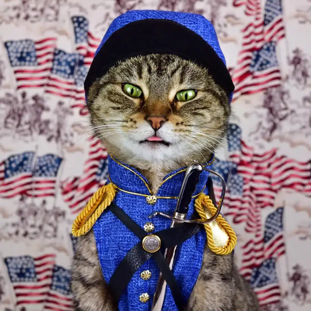 old_time_army_cat_ch_6
